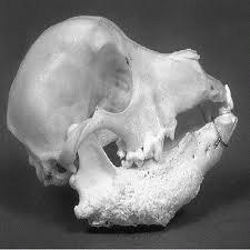 87724235-101106152903