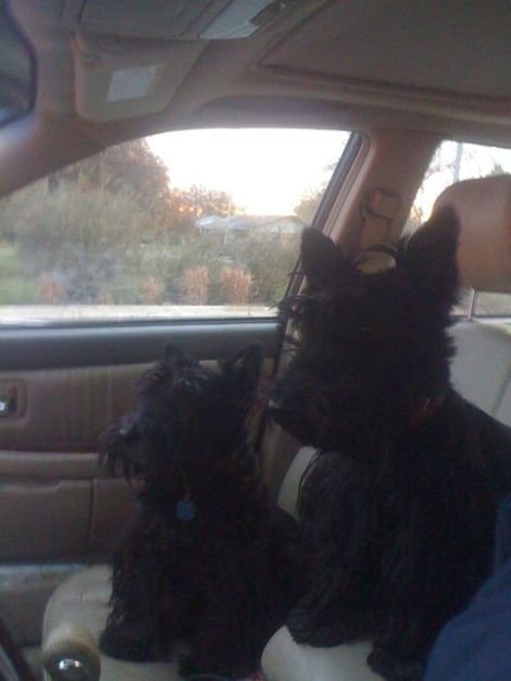 Angus Fala, and sister Ainsley