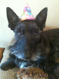 kyla hatfield roark Sammy 8th birthday