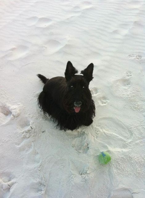 969057_10151633629254259_717146279_n