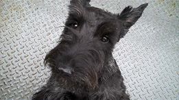 bill fogle with Franklin