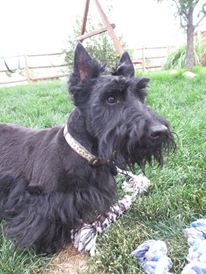 erin greenawalt klausner and mac 2