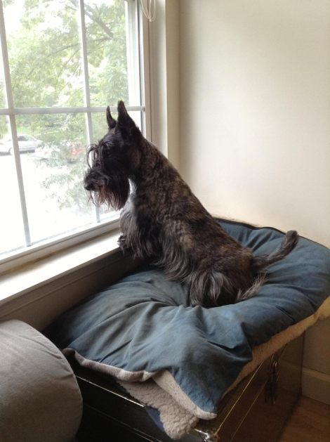 Michelle Lynch and Tess 5 on 11 Aug