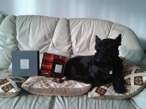 Joe Oshaughnessy Mor