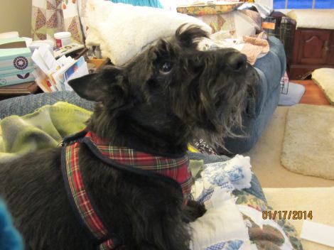 Barbara Stucker and Vanessa bd