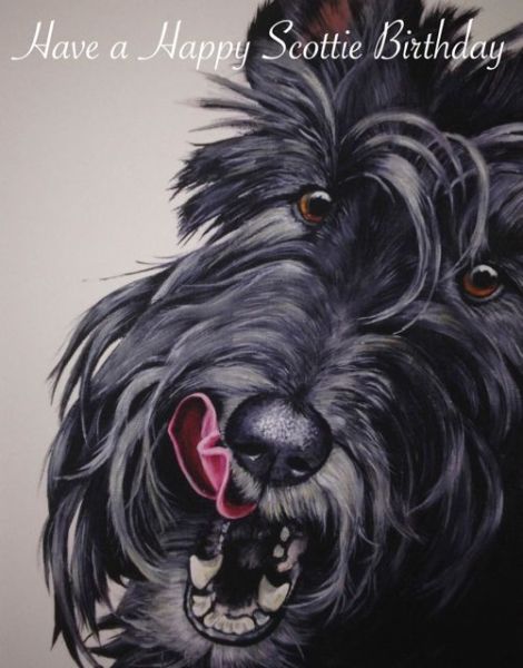 fb scottie bd card copy