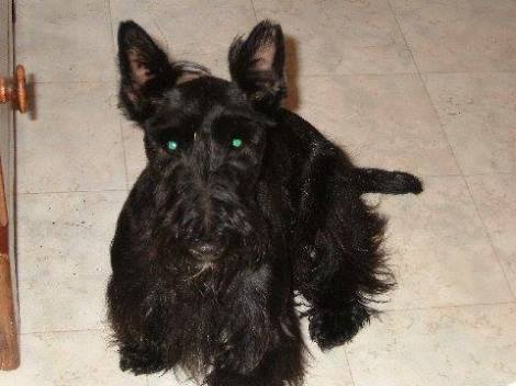 judi Farrell-Booth and Kylie bday