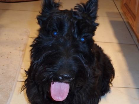 kelly Schubert and George bd