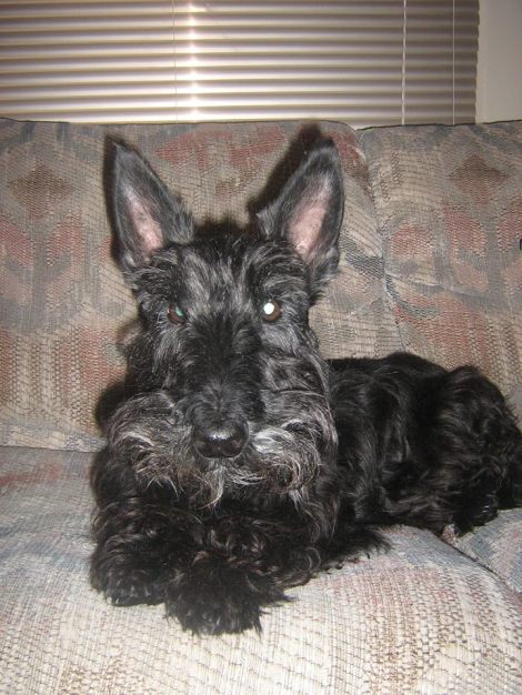 michele doeser and william bd