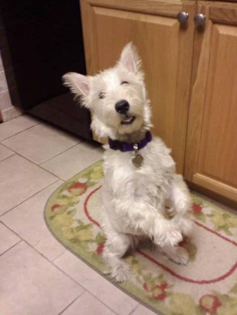 Patti Dellett Giampietro and Matylda bd