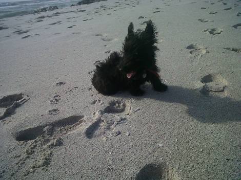 Vicky A Clarence and Alex bd