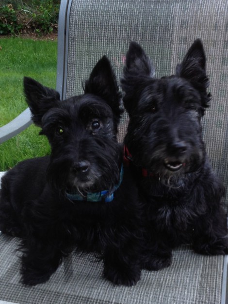 Karen Boyson Duncan and Hamish birthday