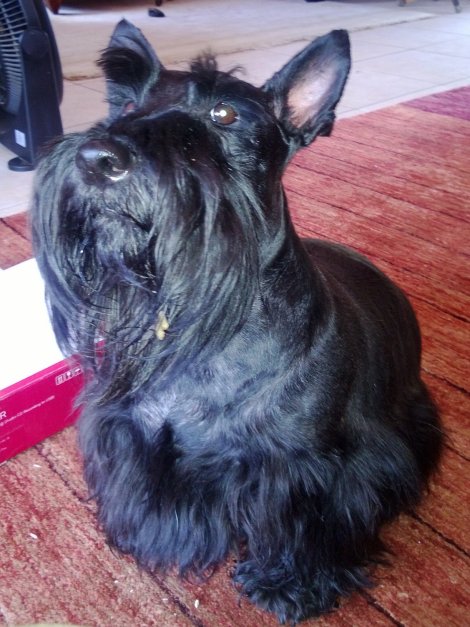 marlene vermaark and rosy bd