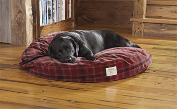 orvis dog bed
