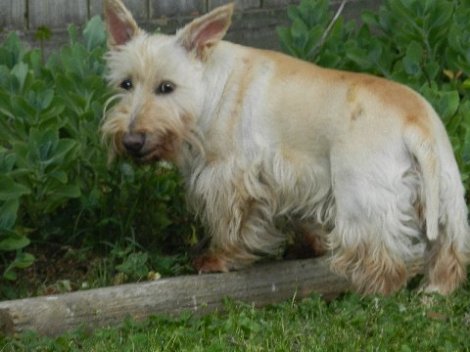 Rosalyn Vergara and Maddie