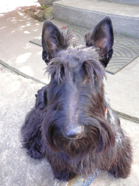 Rich Chambers and Arlo - just after stripping