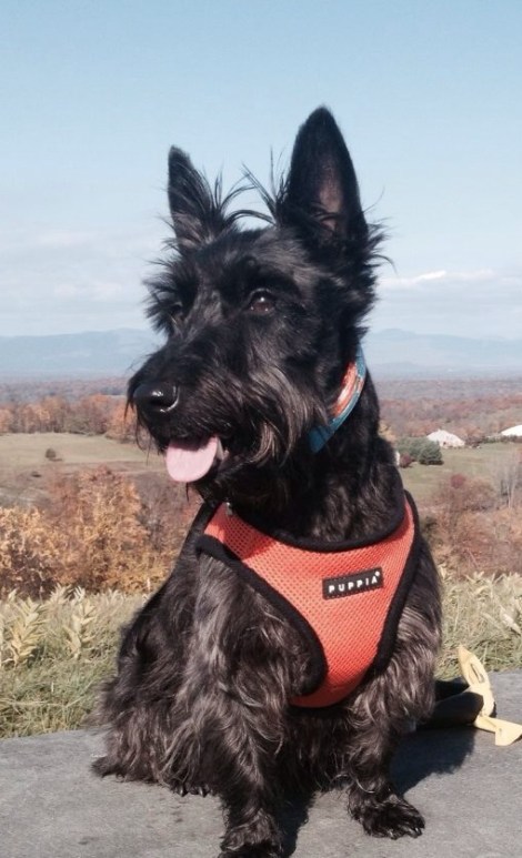 Barbara McElrath and Bella